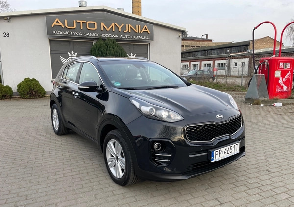 Kia Sportage cena 62999 przebieg: 181526, rok produkcji 2016 z Piła małe 781